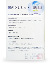 国内クレジット